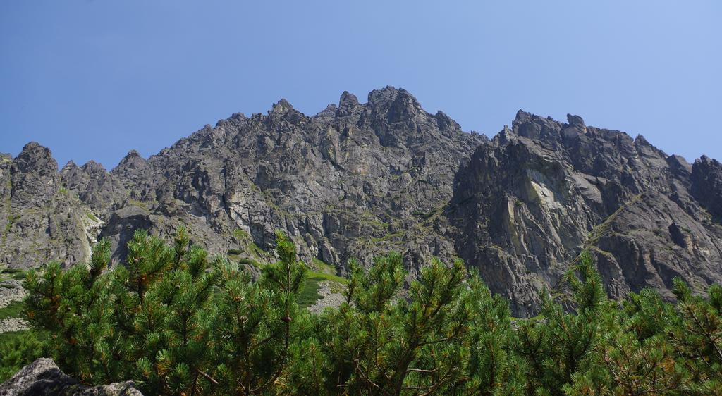 Studio Livia Vysoké Tatry 外观 照片