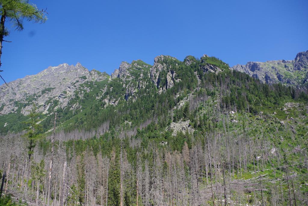 Studio Livia Vysoké Tatry 外观 照片